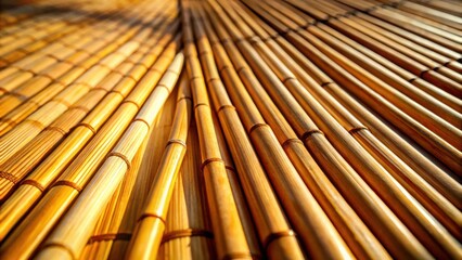 Aufkleber - A close-up view of natural bamboo stalks, arranged in a radiating pattern, capturing the warm glow of sunlight on their smooth, textured surface.