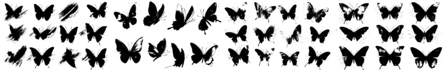 Leinwandbilder - A variety of contemporary butterflies depicted on a white background, featuring hand-drawn black ink illustrations in a brush stroke style. This collection includes random black and white butterfly