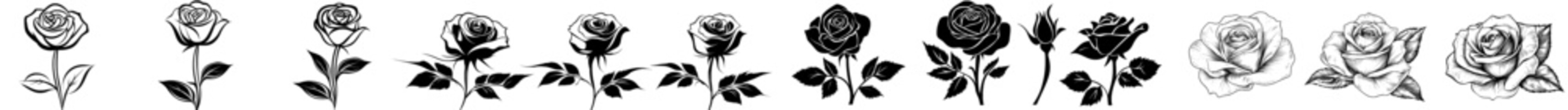 Fototapete - Black silhouettes of roses in bloom, isolated on a white background, form a set of modern black and white illustrations.