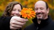 © kossafi - Couple sharing a flower autumn park portrait photography warm colors close-up love expression