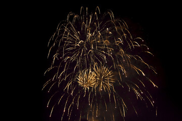 Wall Mural - golden fireworks in black background