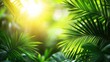 © Focusshop - A vibrant jungle scene with sunlight filtering through lush green leaves.