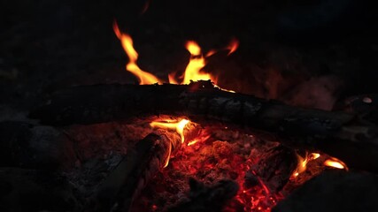 Poster - Logs burn brightly in a campfire, casting an inviting glow and warmth during a serene evening in the forest.