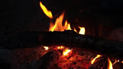 Poster - Bright flames dance among burning wood, casting warm light in the darkness of night, creating a cozy atmosphere by the fire.