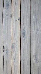 Wall Mural - Weathered gray wood planks background texture.