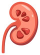 © Rawpixel.com - PNG Minimal kidney icon vegetable dynamite weaponry.
