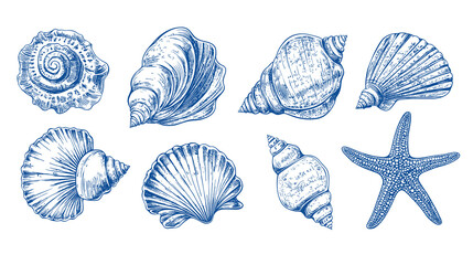minimalist seashells png illustration collection. art for greeting cards, wedding invitations, poste