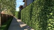© Giovanni - Evergreen plant fence design enhancing privacy and security along a tranquil residential street pathway with lush greenery