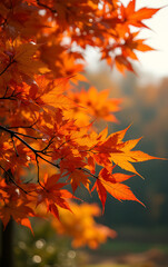 Wall Mural - Vibrant autumn leaves create a colorful backdrop against the natural beauty of the changing seasons scenery outside._00003_