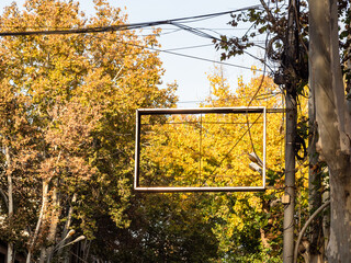 Wall Mural - empty frame from billboard and yellow foliage