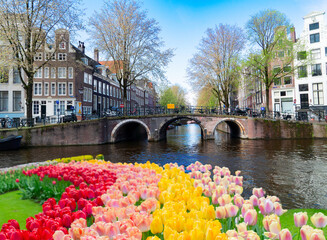 Wall Mural - facades of old historic houses and trees over canal water, amsterdam, netherlands
