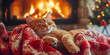 © Ekaterina Pokrovsky - Domestic cat resting in front of fireplace at cozy home decorated for Christmas.