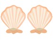 © Halina Berah - Pink seashells with delicate, intricately patterned textures, isolated on a white background, excellent for use in design projects or nature-themed compositions.