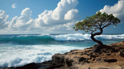 Wall Mural - bonsai pipeline: surf and scenic splendor of the pacific ocean on north shore, oahu, hawaii