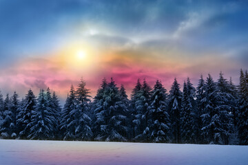 Wall Mural - colorful sunset in winter forest with white snow.