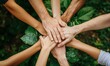 © Olha - Partnership between organizations and the environment to promote charity and support environmental technology for sustainable development.