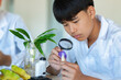 © Sophon_Nawit - Young asian boy sits in science lab, holds flower head and magnifying glass to look details cafefully in science lesson, study type of plants and stems concepts, soft focus.