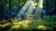 © Pete - Nature scene with small plants and a tree. Sunlight shines through the foliage. Fresh greenery and moss cover the ground. Peaceful and relaxing environment. Perfect for wallpaper or background.