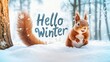 © Joyce - Squirrel in snow field. Winter theme background template for greeting card design.
