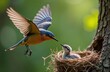© Maryna - Bird flying towards nest with chick inside. Parent bird hovering near nest. Nature scene shows bird care for offspring. Springtime summer. Wild nature, animal themes. Natural light. Cute little bird.
