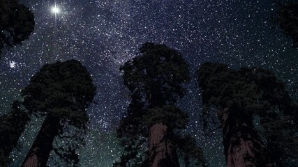Wall Mural - shooting star in the night sky