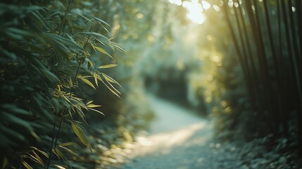 Wall Mural - A serene pathway surrounded by lush bamboo and soft sunlight filtering through the leaves.