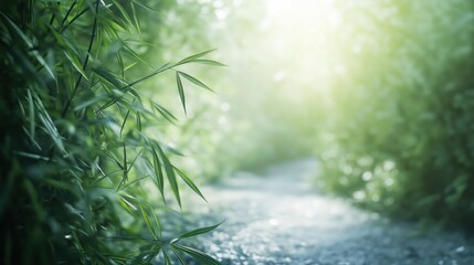 Wall Mural - A serene pathway surrounded by lush green bamboo, illuminated by soft sunlight.