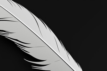 Wall Mural - Feather on black background. Black and feathers on background. White and black bird lying on a white background with fluffy feathers. A black and white bird lying on a lifestyle white background with.