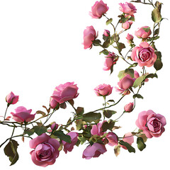 Wall Mural - A 3d rendered illustration of a branch filled with pink roses as an overlay