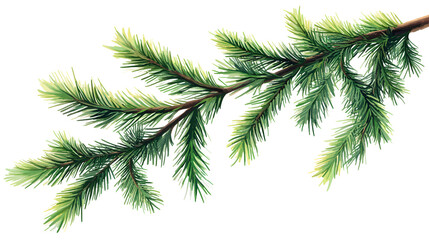Wall Mural - pine branches , hand-drawn style, decorative botanical illustration for design, christmas plants on 