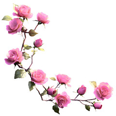 Wall Mural - A 3d rendered illustration of a branch filled with pink roses as an overlay