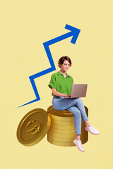 Wall Mural - Trend artwork composite 3D photo collage design of young lady sit type laptop pile coins arrow up earnings income progress strategy