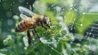 © Justlight - Honey bee pollinating a green plant with a network connection overlay symbolizing the importance of bees in the ecosystem and the use of technology in agriculture and environmental monitoring