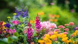 Blurry garden displays b with colorful blooms and lush foliage.