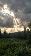 Wall Mural - Sunbeams Piercing Clouds Over a Forest Landscape