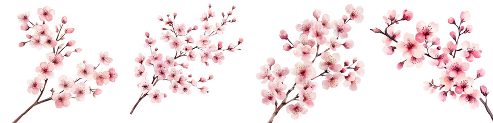 Delicate pink cherry blossom flowers or sakura blooming on a branch in springtime  Beautiful floral background with soft vibrant petals and minimal natural aesthetics