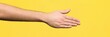 © gunzexx png and bg - A human hand extends forward against a vibrant yellow backdrop, symbolizing connection and interaction, highlighting the importance of relationships in our lives.