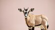 © gn8 - Graceful gazelle against a soft pink background in a tranquil setting