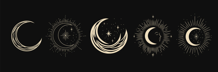 Wall Mural - Vector illustration set of moon phases. Different stages of moonlight activity in vintage engraving style. Zodiac Signs	