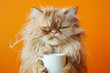 © Magryt - Fluffy Persian Cat Holding A Coffee Mug Against Orange Background. Funny sleepy tired orange cat with tangled fur holding a coffee cup, morning exhaustion, need for caffeine. I hate Mondays concept