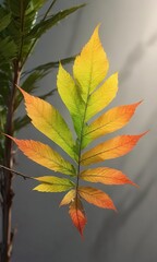 Wall Mural - Thin leaf in sunlight with fine texture and color gradations, colored, delicate details