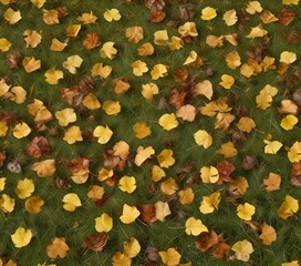 Autumn yellow and brown aspen leaves scattered on a grassy field , fall foliage, natural scenery