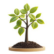 © yelosole - Cartoon-style 3D icon of a green tree sapling in soil on white background