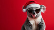 © F U T U R O  - Merry Christmas concept holiday vacation winter animal pet greeting card - Cool Koala Bear with sunglasses and santa claus hat, isolated on red background