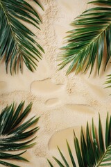 Wall Mural - Palm leaves on sandy beach