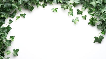 Canvas Print - Greenery-covered white wall