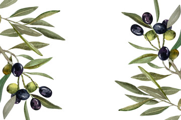 olive branch with green and black olive berries watercolor illustration.watercolor frame of olive br