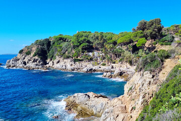 Wall Mural - Coastal Serenity: Vibrant Mediterranean Landscape with Rocky Shoreline and Lush Greenery