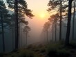 © Jonni78 - Mediterranean pine trees in a mountain forest at dawn