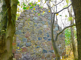 Wall Mural - Geheimnisvolle Orte - Eine Ruine im Unterholz